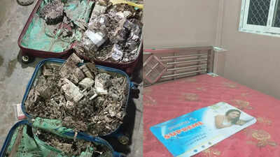 The cash destroyed by termites stashed in two suitcases beds and other furniture in a locked room.jpg